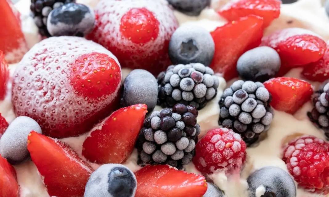 Dondurucuda Hangi Yiyecek Ne Kadar Saklanır? 12